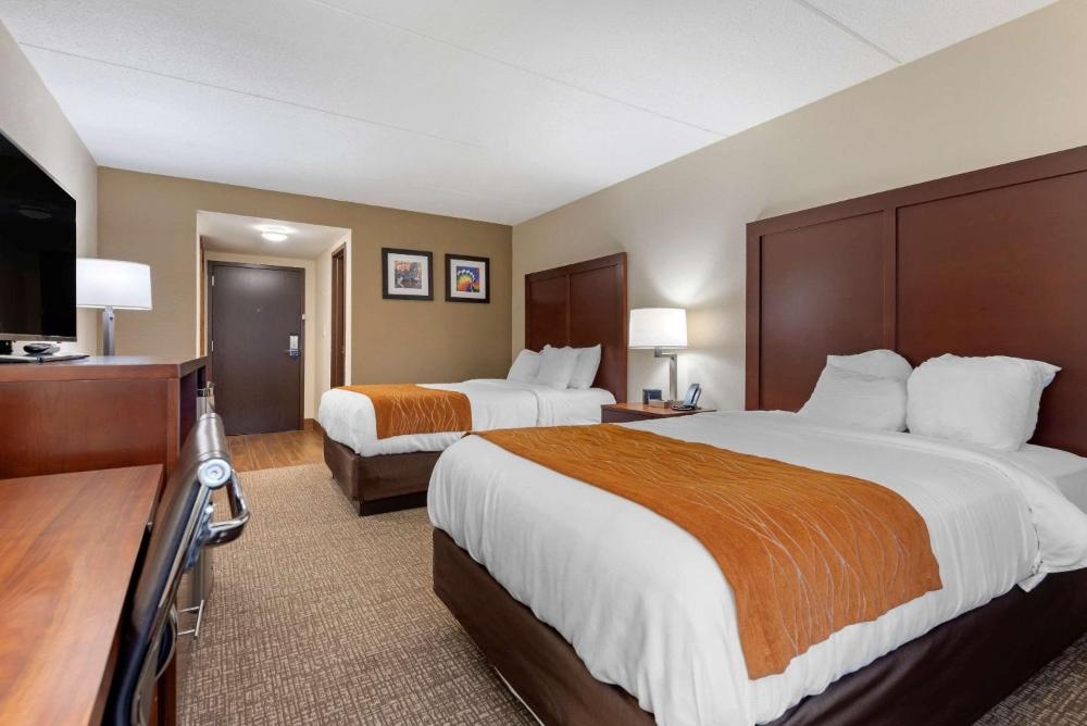 Comfort Inn Binghamton I-81